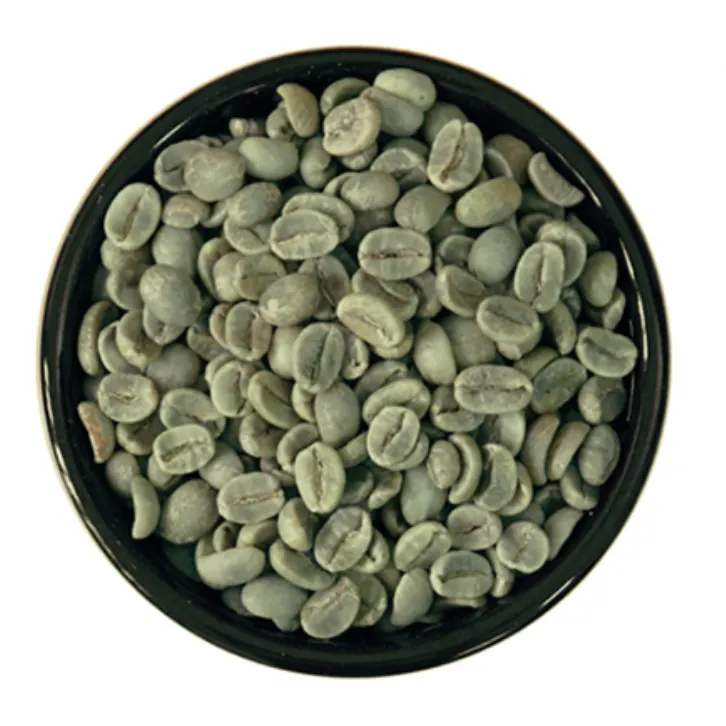 arabikaページ アラビカS18コーヒー豆 – プレミアム原材料 - ASET INTERNATIONAL 有限